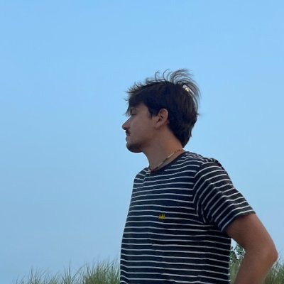 n_to_one's profile picture. On a journey to become a cracked dev...