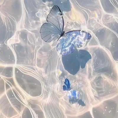 yegdixb's profile picture. 成人済み