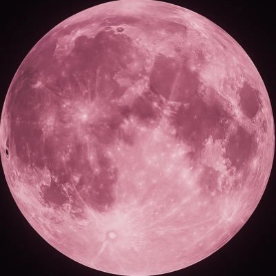 AlwaysRanRan's profile picture. 보고싶어요 @realjonghyun90 ᴵ ʷᵃᶰᵗ ʸᵒᵘ ᵗᵒ ᵏᶰᵒʷ ₀₄⁰⁸ & 희승 ᴴᴱᴱᔆᴱᵁᴺᴳ ¹⁰¹⁵ ♡のⓛⓞⓥⓔ♡ 𝗪𝗔𝗟𝗞 𝗧𝗛𝗘 𝗟𝗜𝗡𝗘 𝗙𝗜𝗡𝗔𝗟 𝗜𝗡 𝗦𝗘𝗢𝗨𝗟