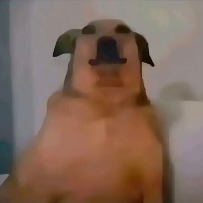 Nelson203763523's profile picture. 