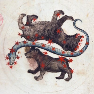 amaribanero's profile picture. https://t.co/ISVTndrywL