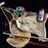 flashwrap's profile image