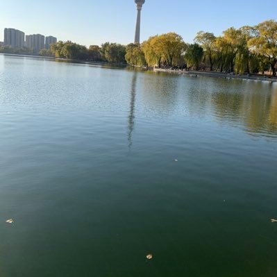 老虎鱼(@8Y57445) / Posts / X