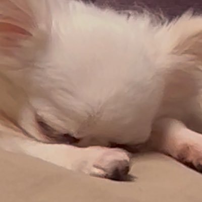 143___etc's profile picture. ドドドドドド