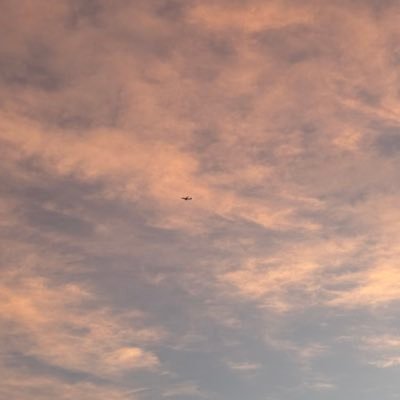 MA_ALS89's profile picture. CS Graduate | AI | UX/UI | Tech Support