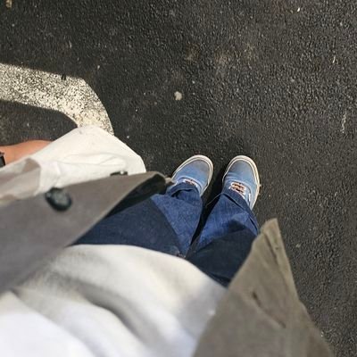 scherzora's profile picture. she/her • 🏐📚📷🎧🥘🌿