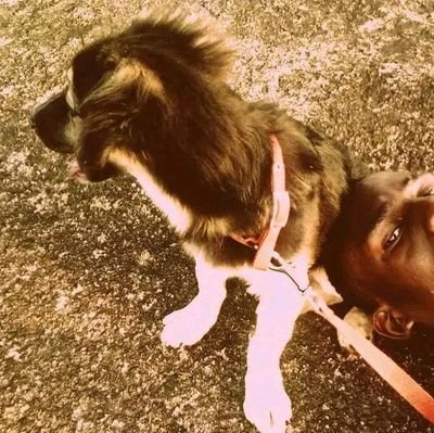 TheNestCradles's profile picture. Human And Dog Trainer||
still a problem