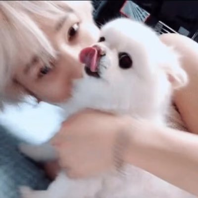 shfly3424's profile picture. Super junior Yesung https://t.co/g5yS7xpCav
