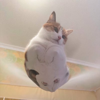 nuttabew's profile picture. 1999