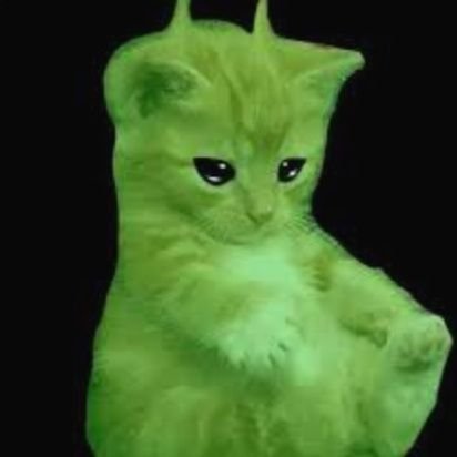 JakkalsDoesX's profile picture. chicken yay