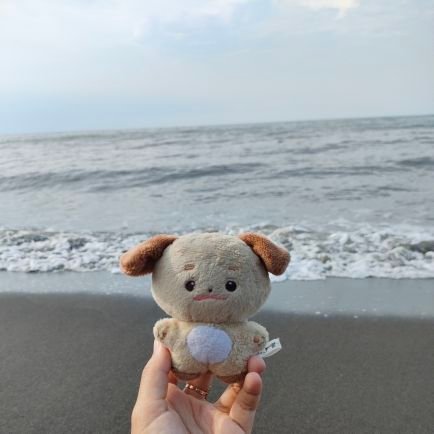 peachkachuuuu's profile picture. • Mother birds💚
• ELSE⚡
• MOODZ💙🧡
• Mother of my precious babies, OSW & LHG💙
• My everything, BAE173💙

• 옹녤💜💛 & 조결💙🧡 is life

●Free to bub/unfol