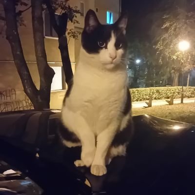 jana_0329's profile picture.
