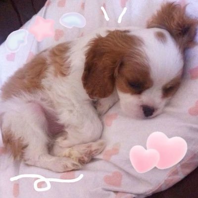 zwombieeeeeeeee's profile picture. lvl 19