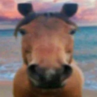 certifiedmannn's profile picture.