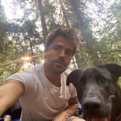 paulwesleymfl's profile picture. film director