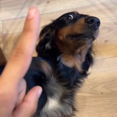 chstx64's profile picture. computer polymathe.
ctf w/@0xud2
- blogs: https://t.co/28TMHtvXyW https://t.co/vrQ2jqiPG0 https://t.co/RvWdcmVwAS
