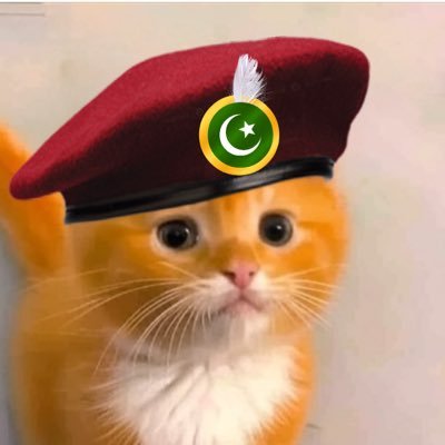 SamiTheAlien's profile picture. Meow. 🍊🐈 I travel spaces & listen to hooman views; but NEVER talk. Let me listen. Stop removing me!!! Send Co-Host. Cute Red Flag. DM if you like cats 🐱