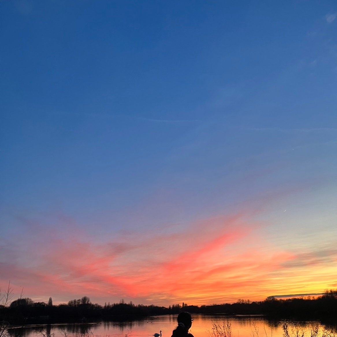 insfireschoco's profile picture. 