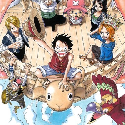 Ozytryn's profile picture. One Piece mon gars