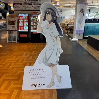 d3rbrDB56s47570's profile picture. 青ブタや東方、アオのハコ、久保さんが好きです！推しは翔子さんです！