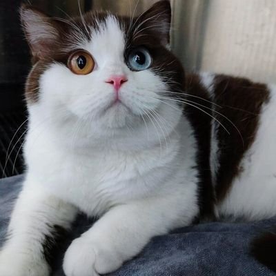 Solee_abc's profile picture. Follow each other and cheer together🥦