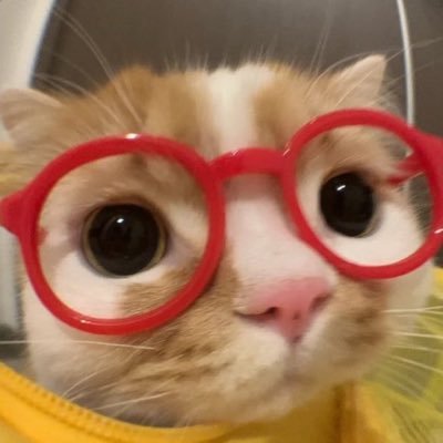 jessianems's profile picture. ixe n sei