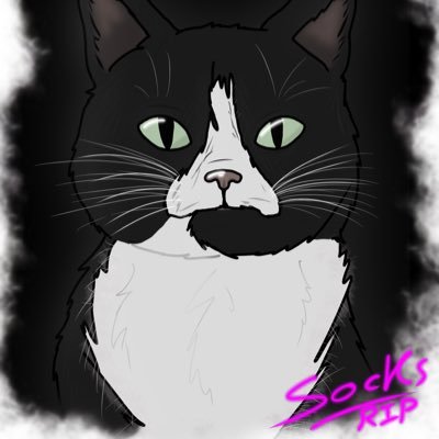 Pand4m4t10n's profile picture. ✨ Celestial Pandamation pup ✨ | He/Him | 17 | Bi, beautiful & taken by @MystikkSchakal 🌈 | You are safe, seen & starloved ⭐ | PFP; @MommaKizueyesha