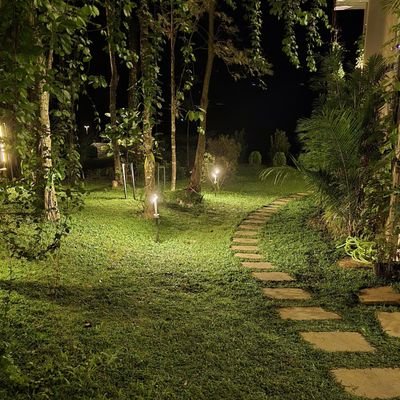 Shintu_M's profile picture. Digital Deployment Manager