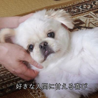 129140163_'s profile picture. 明日は学校あるのかな