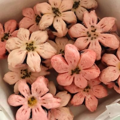 shimmergurl39's profile picture. Fan girl • Gamer • Writer 🇵🇭 Forever Inspirit ,Starlight and RJN 🐹 🦖🐶🐻🦌🐱🐰 LAD (Zayne & Caleb girly) ❄️🍎