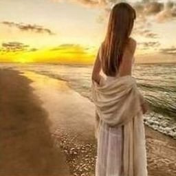 Laugea6332238's profile picture. 