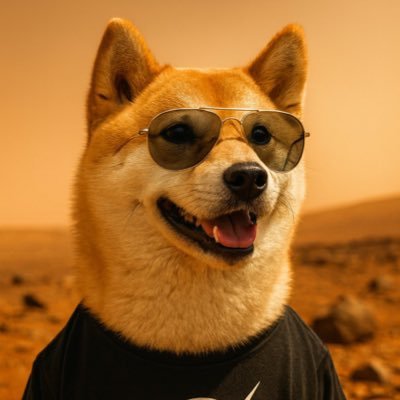 TDogeDesignerCo's profile picture. 147 Following 196.8M Followers