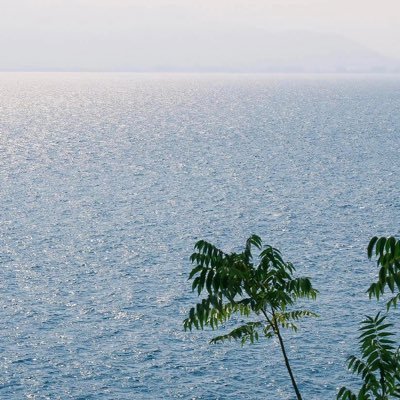 lulosh660817's profile picture. 合约是魔鬼而给合约上一道保险他就变成提款机了！QQ-1027008620