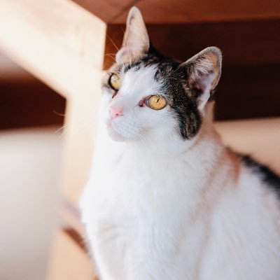 YxxxBxxx's profile picture. .