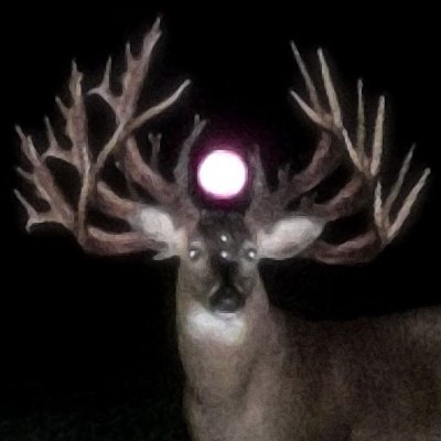 triptyler2's profile picture. rsn - Coughers