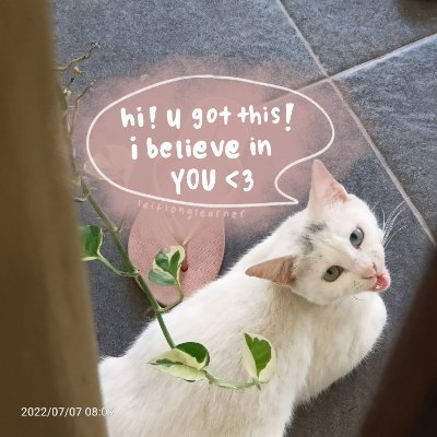 laiflonglearner's profile picture. data & marketing wiz • building my first SaaS (@lifelonghabit habit app) • 43/100 days #questmaxxing 🟩🟩🟨⬜⬜