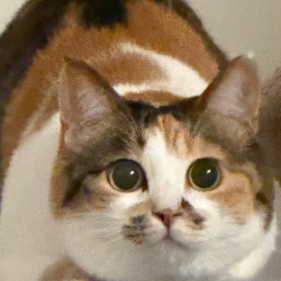 samlakig's profile picture. https://t.co/mYe9gvR7hb