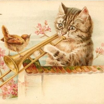 Neylsi_'s profile picture. Trombonist🎀| orchestra girl| Vivaldi's no.1 fan 🩰|| academic achiever|| girls in stem! 💗(warning! The digital footprint is insane)