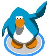 angehache's profile picture. melhor perfil da internet 💋