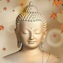 Rex Lee Franklin - @RexLeeFranklin - Twitter