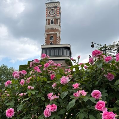 3ARXHeTpx0aNlgD's profile picture. 