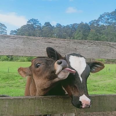 DeepGeeIsDEAD's profile picture. 