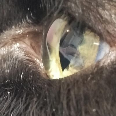 GGX7ZdNdc317882's profile picture.
