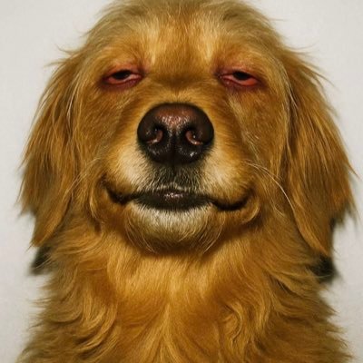 loverofall1236's profile picture. cod gamer he/him Here to have fun and make friends love ‘em chubby and chunky 😍🥰😘😈