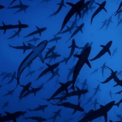 Winbloodsun's profile picture. 