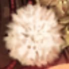 reimenyakiniku's profile picture. 綱さんと焼肉屋に行きたい(願望) 渡辺綱さん推しのマスターです！！！(しかし平安京はクリアしてません) 雑多垢&とうらぶ垢→@kuppayakiniku