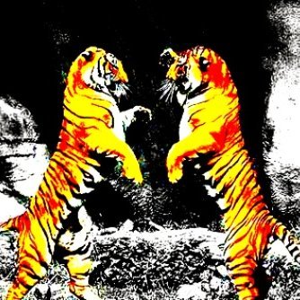 BressierJ's profile picture. 