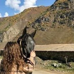 Wheaiwui772694's profile picture. 