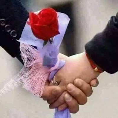 noorzad30126000's profile picture. 