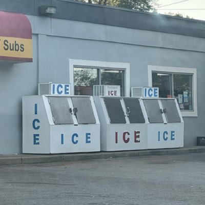 shellyhughes163's profile picture. 